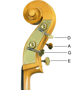 double bass string letter names
