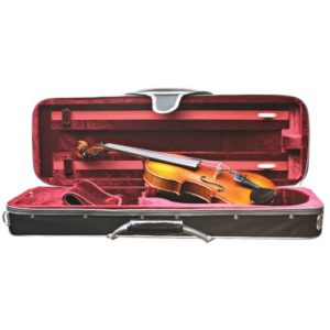 primavera violin - Best Violin Brands