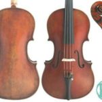 Eastman Master Series Poplar Advanced Professional Viola