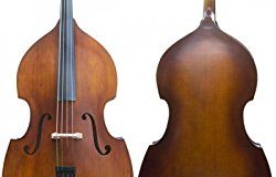 cecilio double bass review