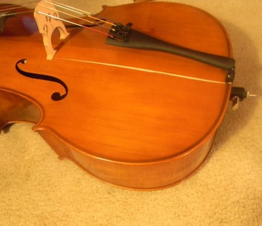 crack in cello