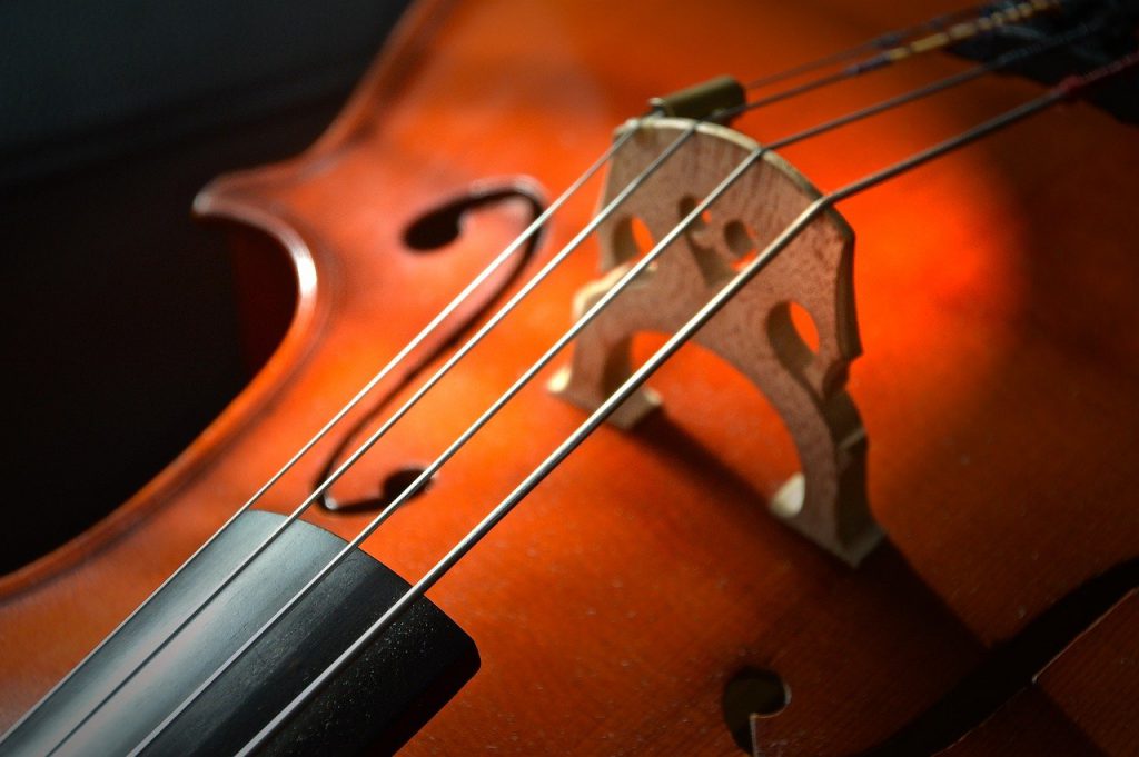 cello strings