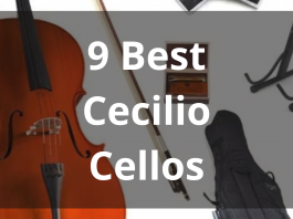 Best Cecilio Cellos