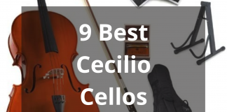 Best Cecilio Cellos