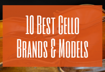 Best Cello Brands and Models