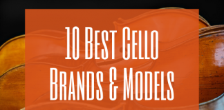 Best Cello Brands and Models