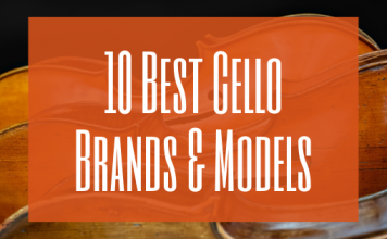 Best Cello Brands and Models