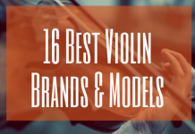 Best violin brands and models