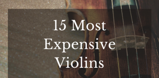 15 Most Expensive Violins