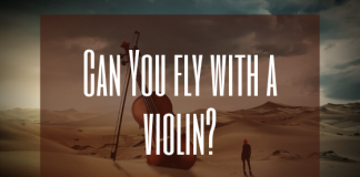 Can i fly with a violin