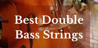best double bass strings