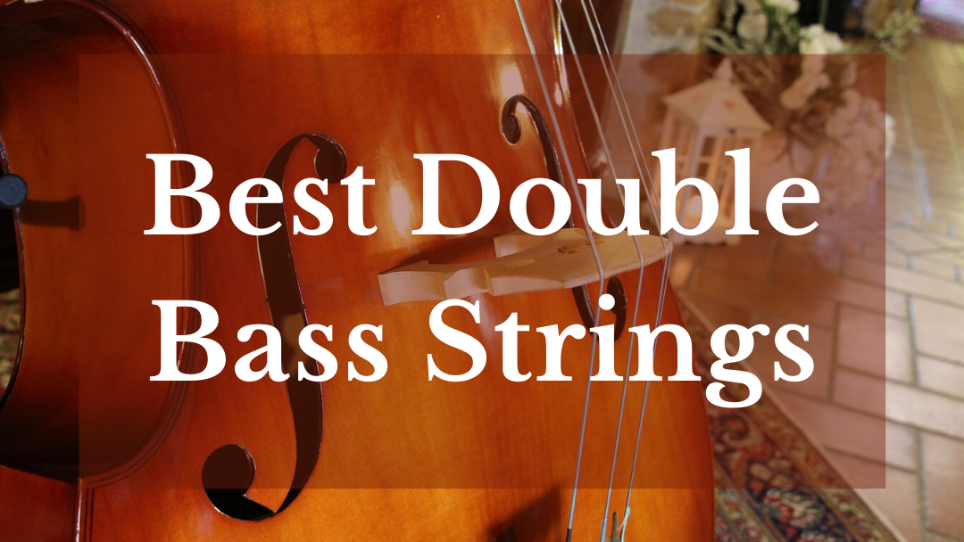 best double bass strings