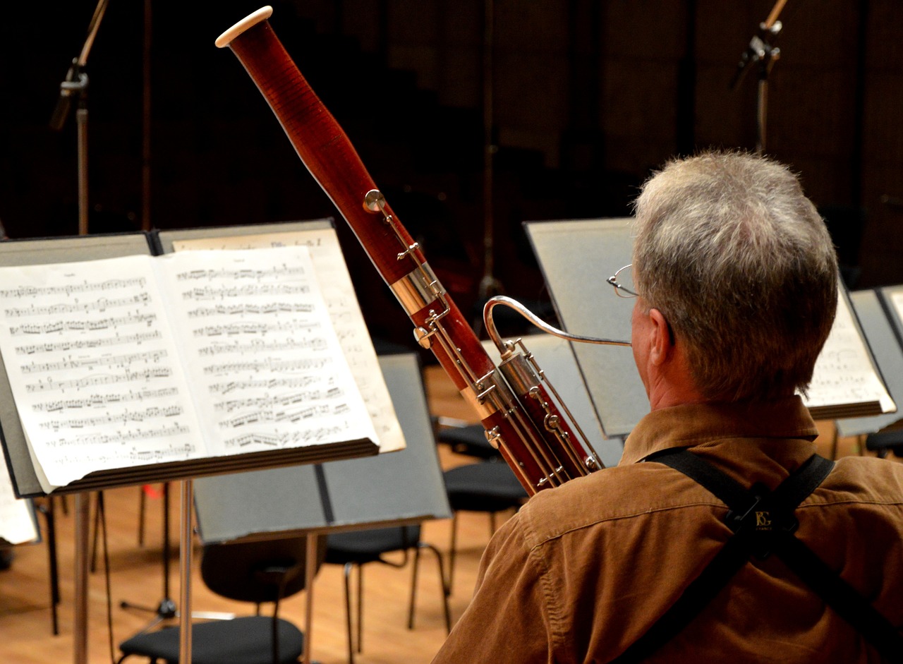 Bassoon - Hard Musical Instrument