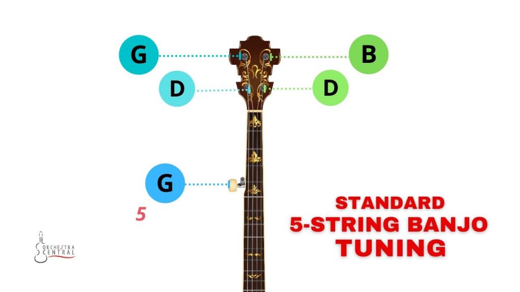 Picture showing the standard banjo tuning of a 5-string banjo
