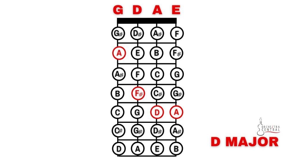 Diagram basic fiddle chords featuring D major