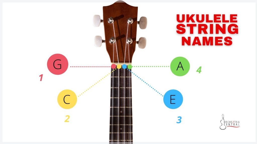 Picture showing ukulele string names and order