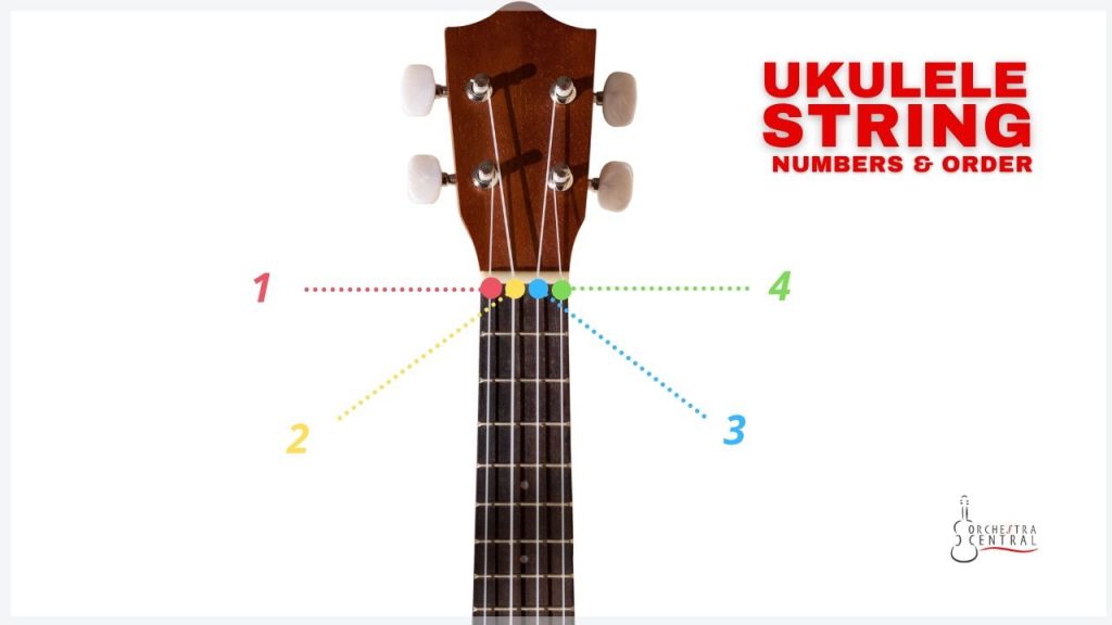 Picture showing the ukulele string numbers & order