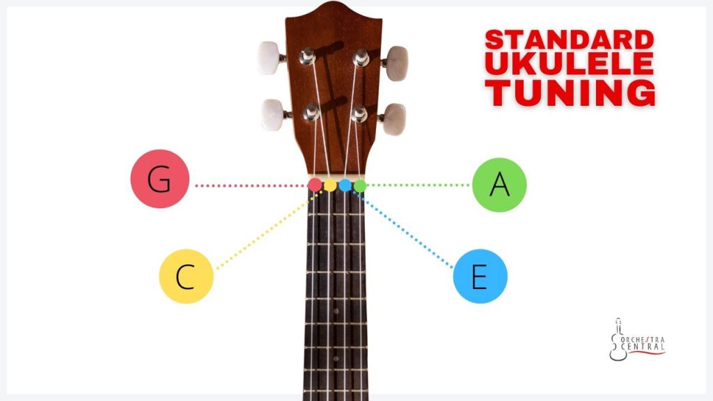 photo showing the standard ukulele tuning