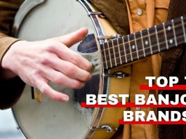 Featured image of Orchestra Central's best banjo brands