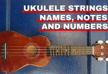Ukulele string names featured image from Orchestra Central
