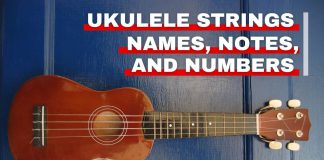 Ukulele string names featured image from Orchestra Central