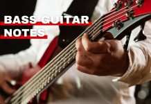 Orchestra Central's featured image about bass guitar notes