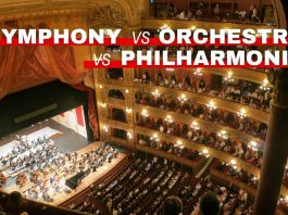 Featured image of Orchestra Central's symphony vs orchestra vs philharmonic article
