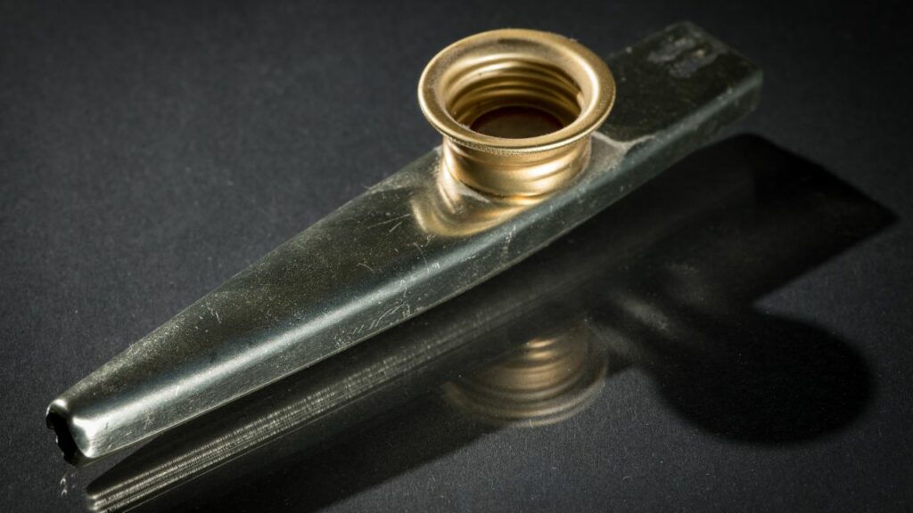 A picture of a kazoo, a membranophone instrument.