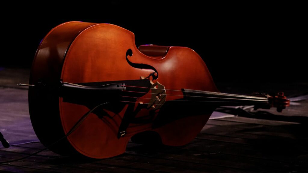 A double bass on the floor.