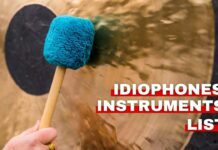 Idiophone instruments list featured image from Orchestra Central