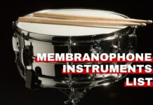Membranophone instruments list featured image from Orchestra Central
