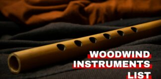 Orchestra Central's woodwind instruments list featured image.