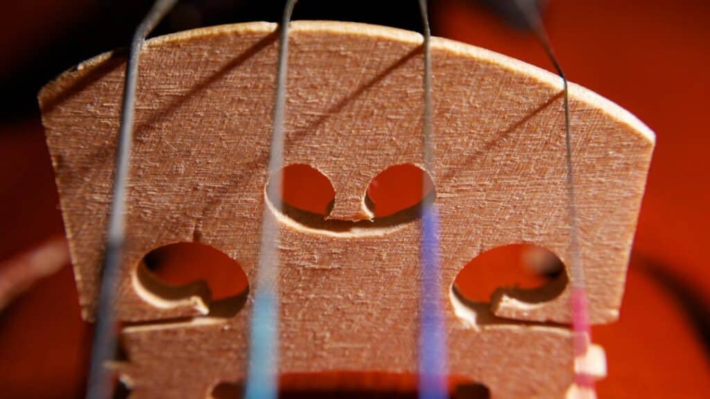 picture showing a violin's bridge