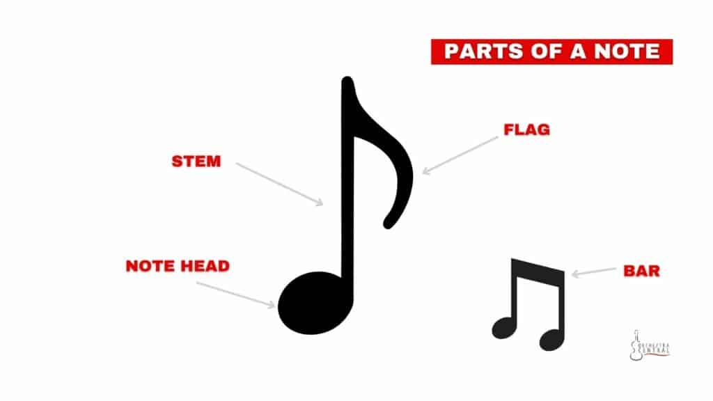 diagram showing the parts of a note