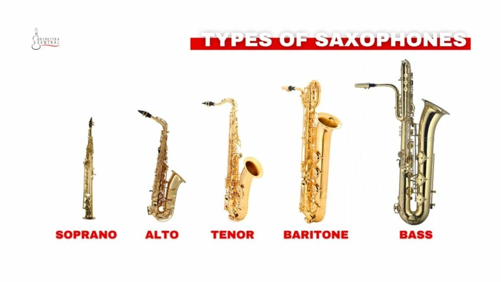 photo showing the different types of saxophones