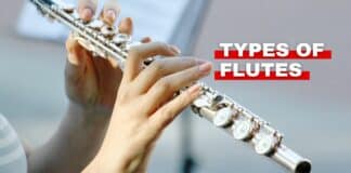 types of flutes featured image from Orchestra Central