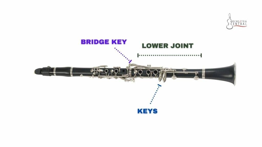 photo showing the lower joint part of the clarinet. 