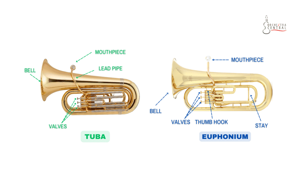 a photo showing the physical differences between a tuba and a euphonium instrument.