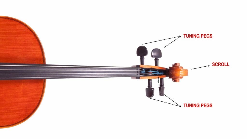 Photo showing the parts of a cello's pegbox
