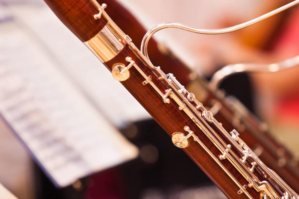 Fragment Bassoons In A Symphony Orchestra